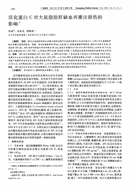 活化蛋白C对大鼠脂肪肝缺血再灌注损伤的影响