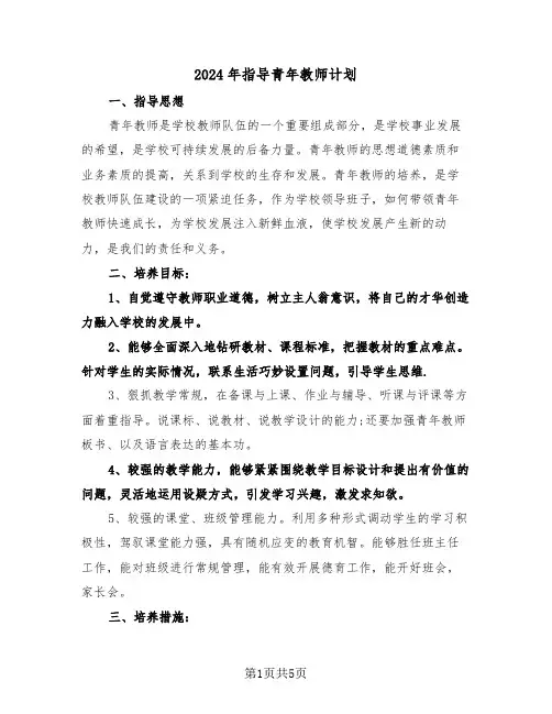 2024年指导青年教师计划(二篇)