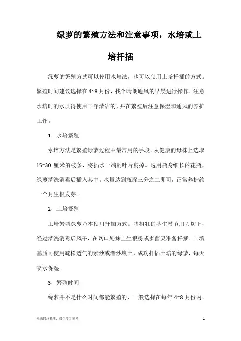 绿萝的繁殖方法和注意事项,水培或土培扦插