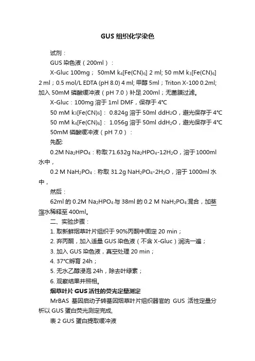 GUS组织化学染色