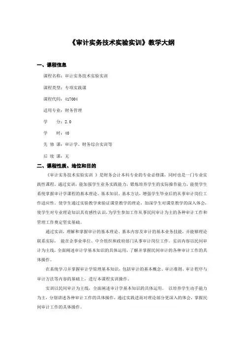 审计实务技术实训教学大纲
