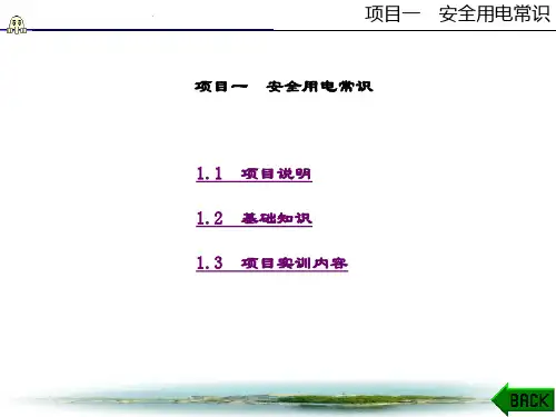 精品文档-电工技能与实训(王昭同)-项目一