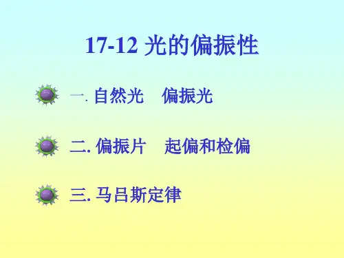 偏振