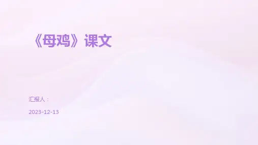 《母鸡》课文