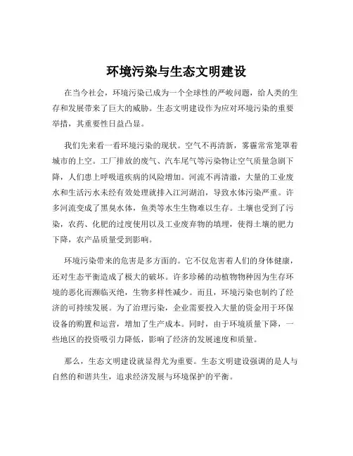 环境污染与生态文明建设