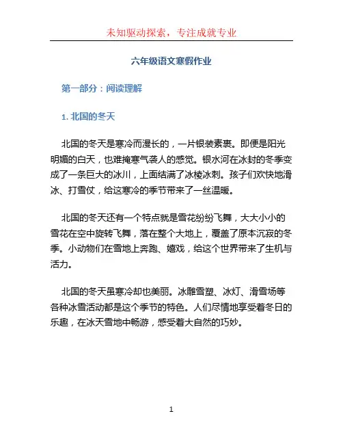 六年级语文寒假作业 (2)