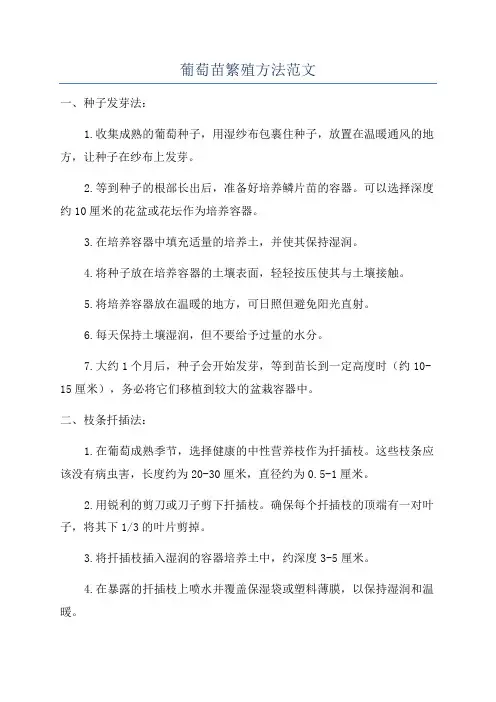 葡萄苗繁殖方法范文