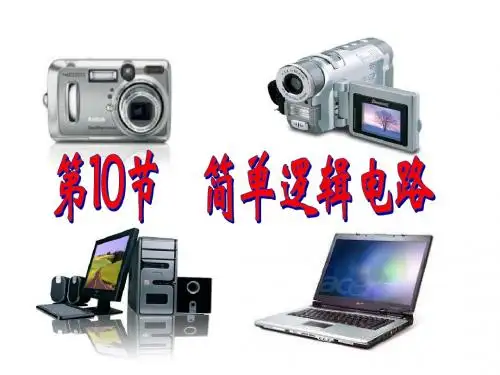 简单逻辑电路 (李丽)