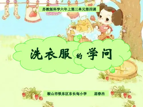小学科学苏教版六年级上册《4洗衣服的学问》课件公开课(10)