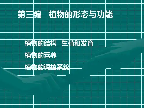 普通生物学8—植物的形态与功能
