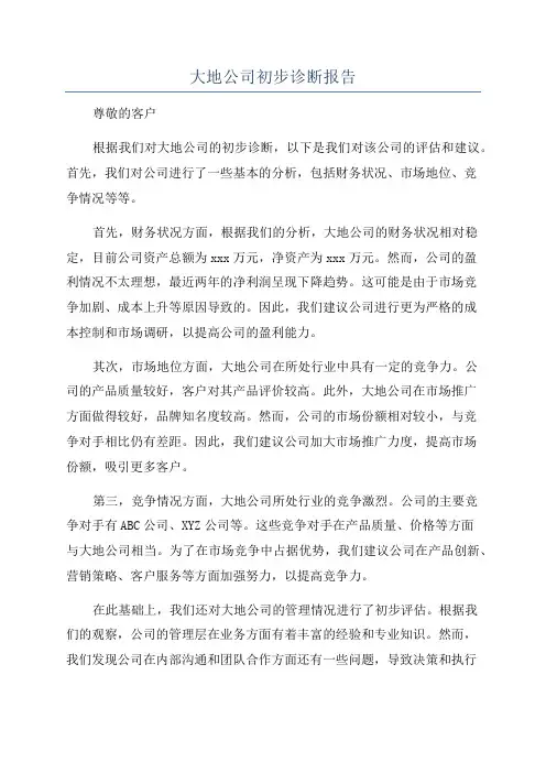 大地公司初步诊断报告