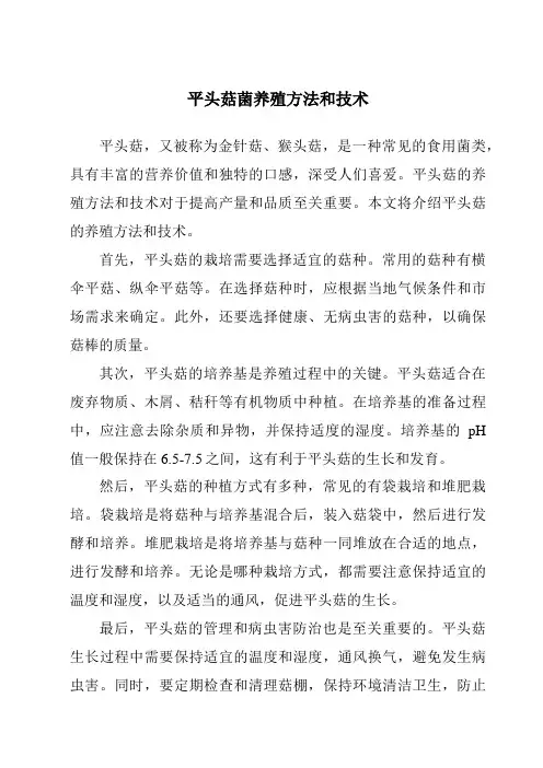 平头菇菌养殖方法和技术