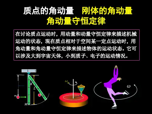04-3角动量定理(新)