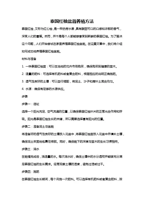 泰国红柚盆栽养殖方法