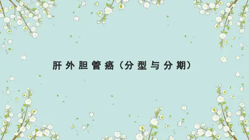 胆管癌影像诊断