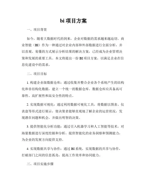 bi项目方案