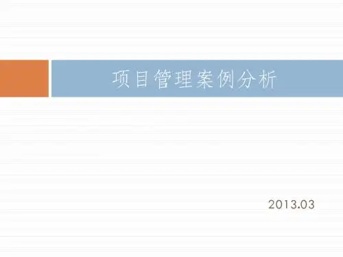 项目管理案例分析 (中级和高级)