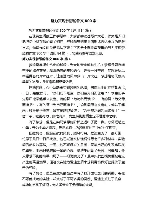 努力实现梦想的作文800字