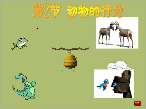 八年级生物上册第16章_第2节_动物的行为