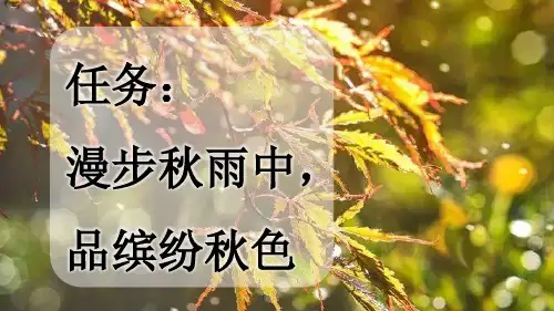 三年级语文《秋天的雨》PPT课件