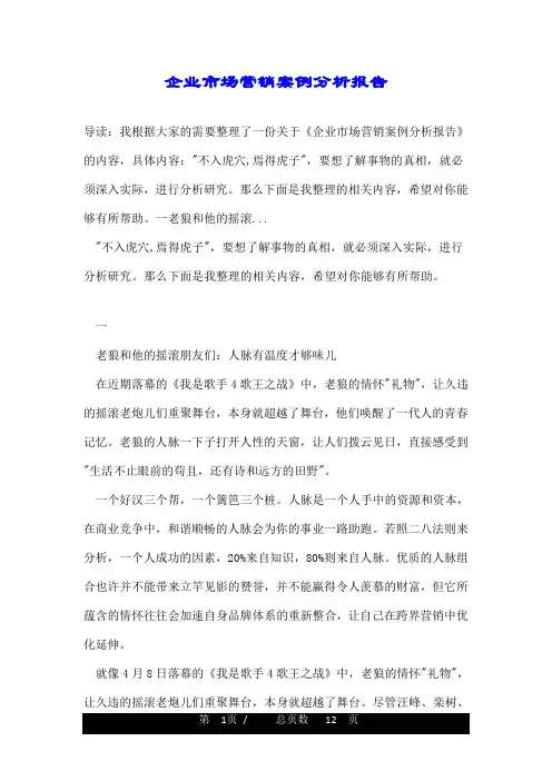 企业市场营销案例分析报告