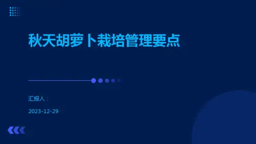秋天胡萝卜栽培管理要点