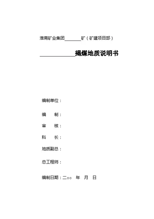 淮南揭煤说明书样式 (1)