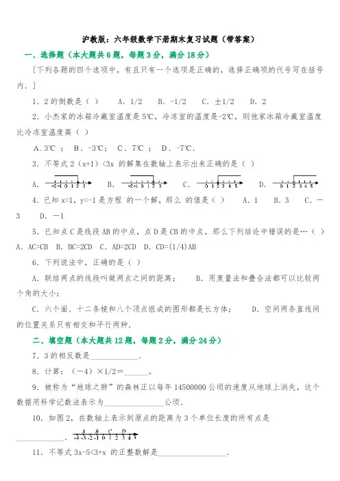 沪教版六年级数学下册期末复习试题