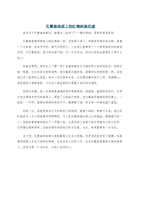 孔繁森高原上的红柳树读后感