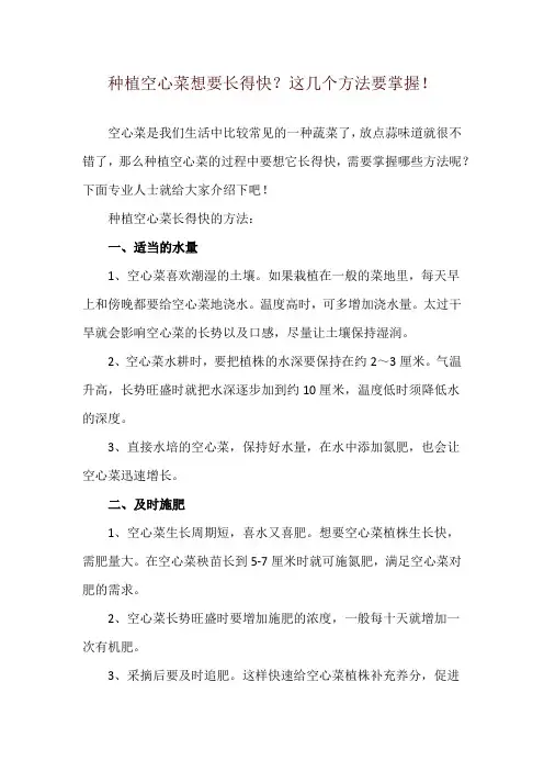种植空心菜想要长得快？这几个方法要掌握!