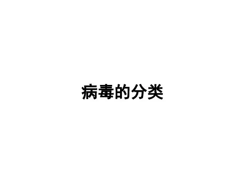 病毒的分类