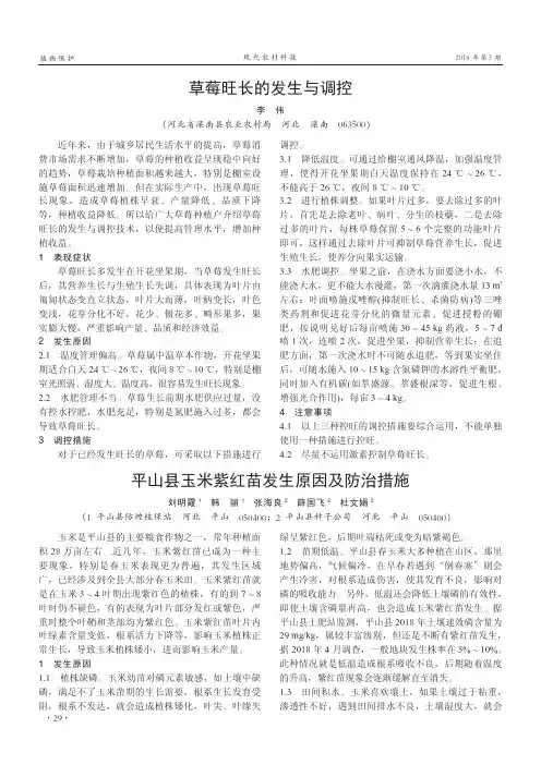 草莓旺长的发生与调控