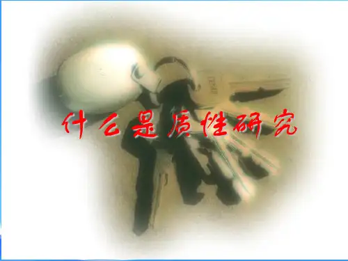 教育科研中的质性研究--薛凌-教育科研中的质性研究