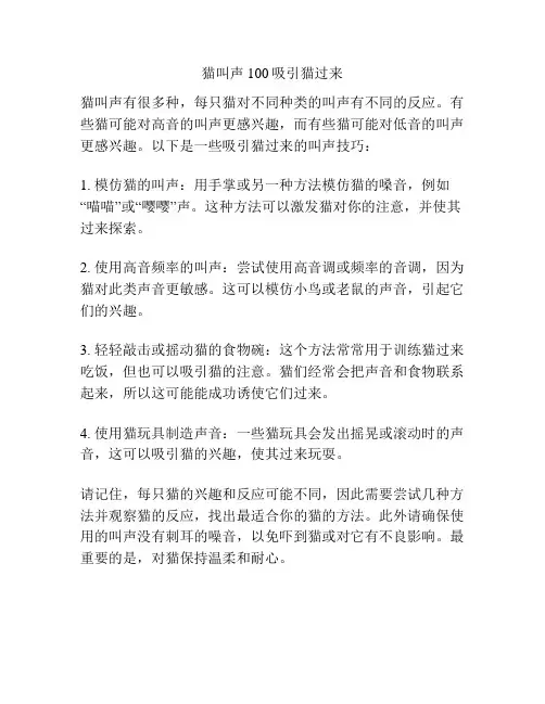 猫叫声100吸引猫过来