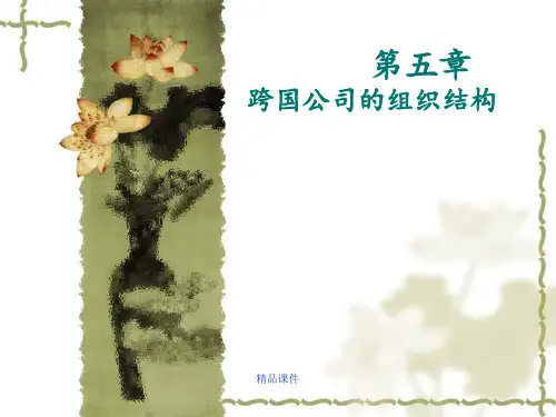 对跨国公司组织结构的介绍