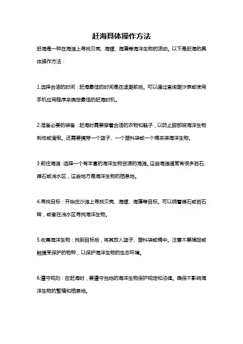 赶海具体操作方法