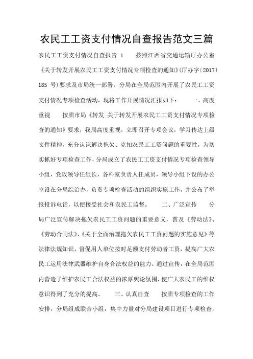 农民工工资支付情况自查报告范文三篇
