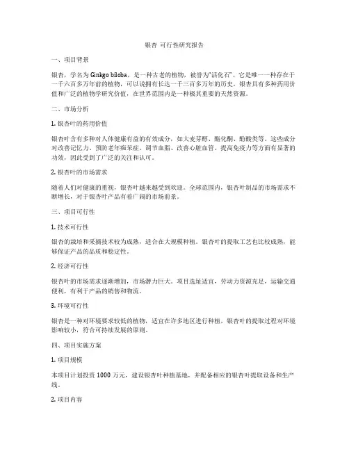 银杏  可行性研究报告