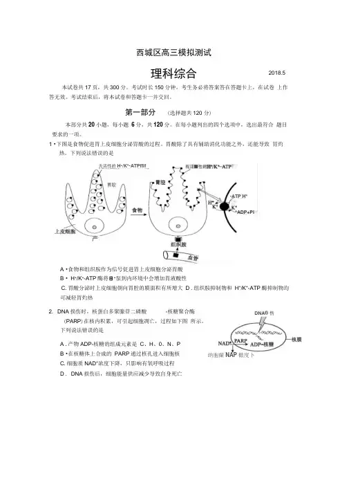 北京市西城区2020届高三5月模拟测试(二模)理综生物试题Word版含答案