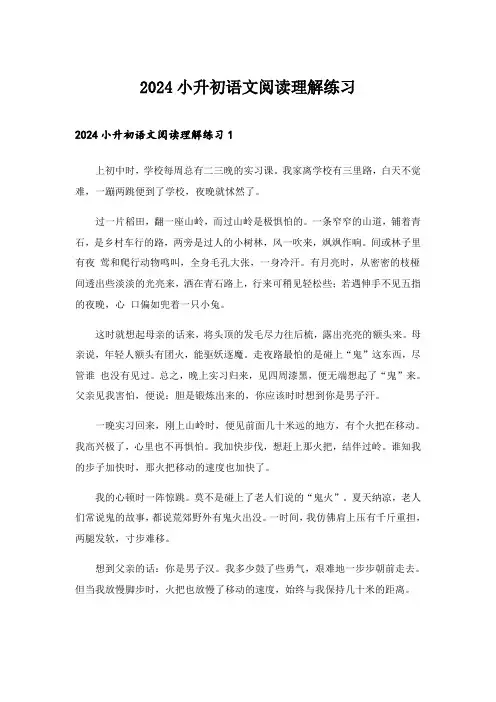 2024年小升初语文阅读理解练习
