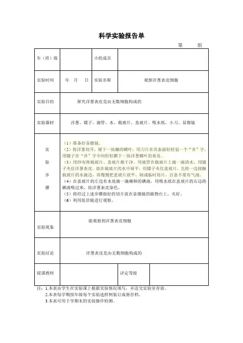 六年级重点实验报告单