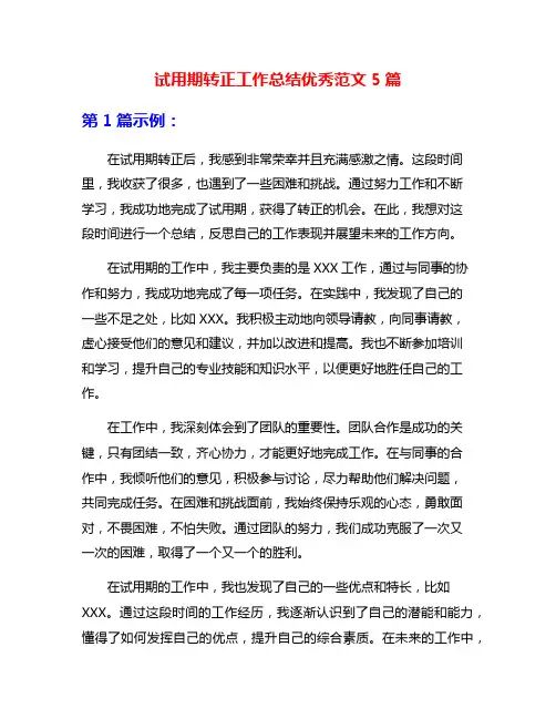试用期转正工作总结优秀范文5篇