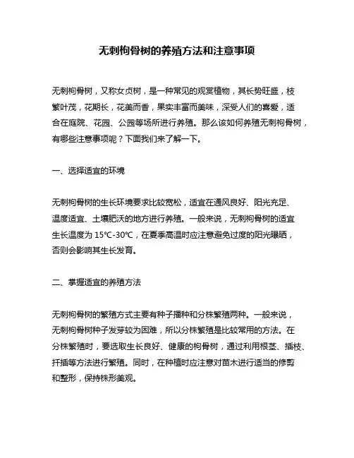 无刺枸骨树的养殖方法和注意事项