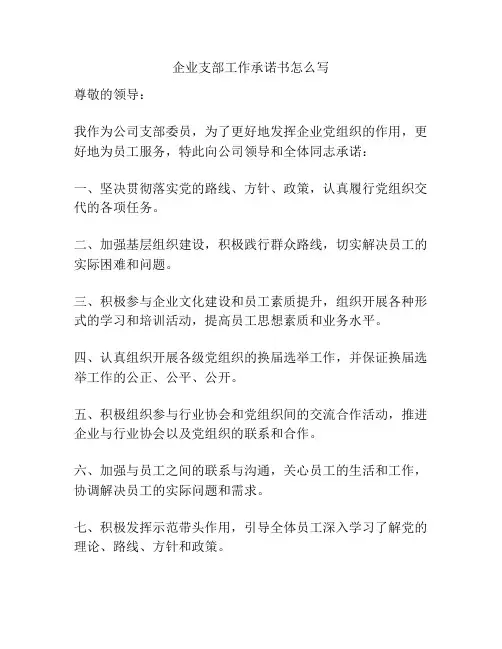企业支部工作承诺书怎么写