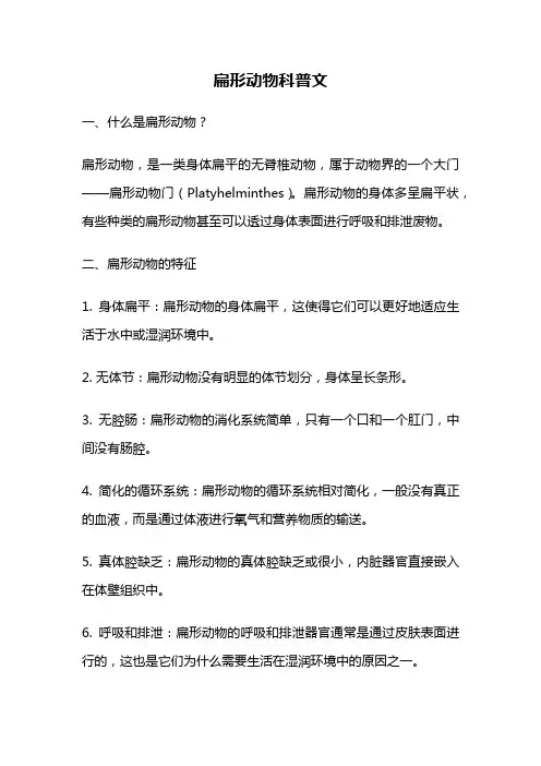 扁形动物科普文