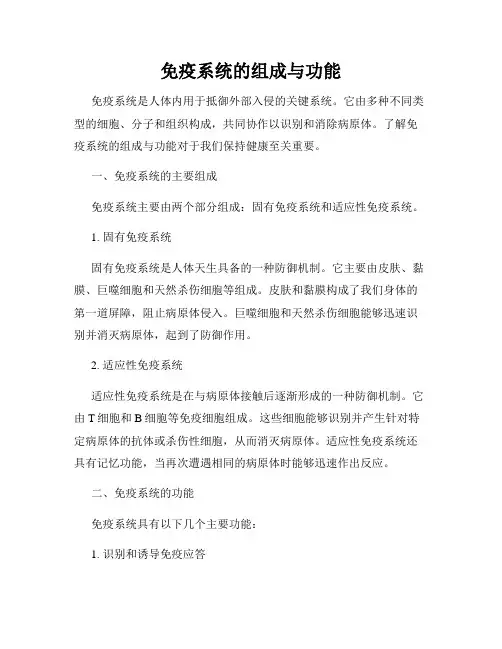 免疫系统的组成与功能