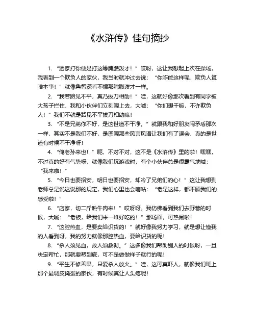 《水浒传》佳句摘抄