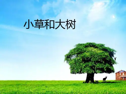 六年级上册语文课件9《小草和大树》｜苏教版 (共32张PPT)