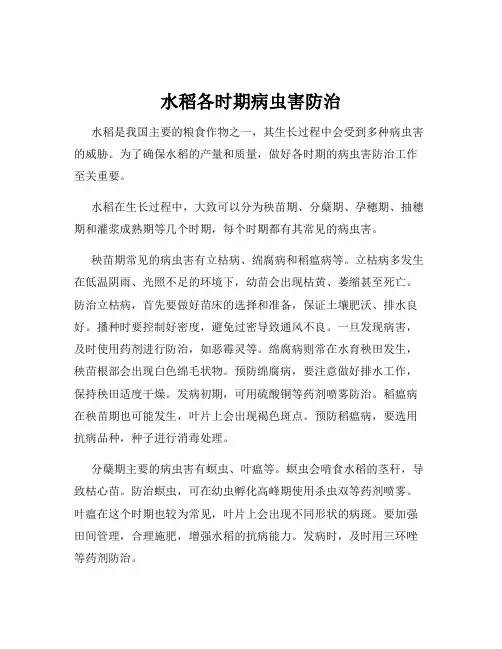水稻各时期病虫害防治
