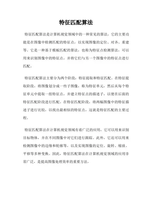 特征匹配算法